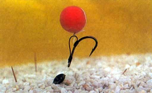 Riguri - montura-crap5.jpg